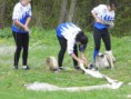 /album/kolarovice-hasicska-500vka-4-5-2013/a010-2013-05-06-jpg/